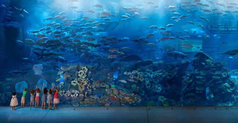 Marassi Aquarium & Underwater Zoo